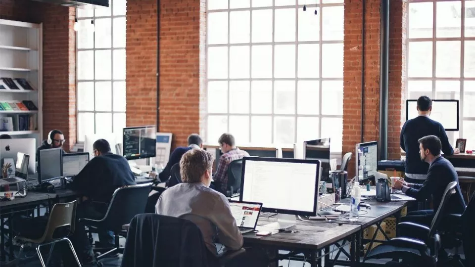 Как выбрать веб-студию в Зеленогорске по кейсам