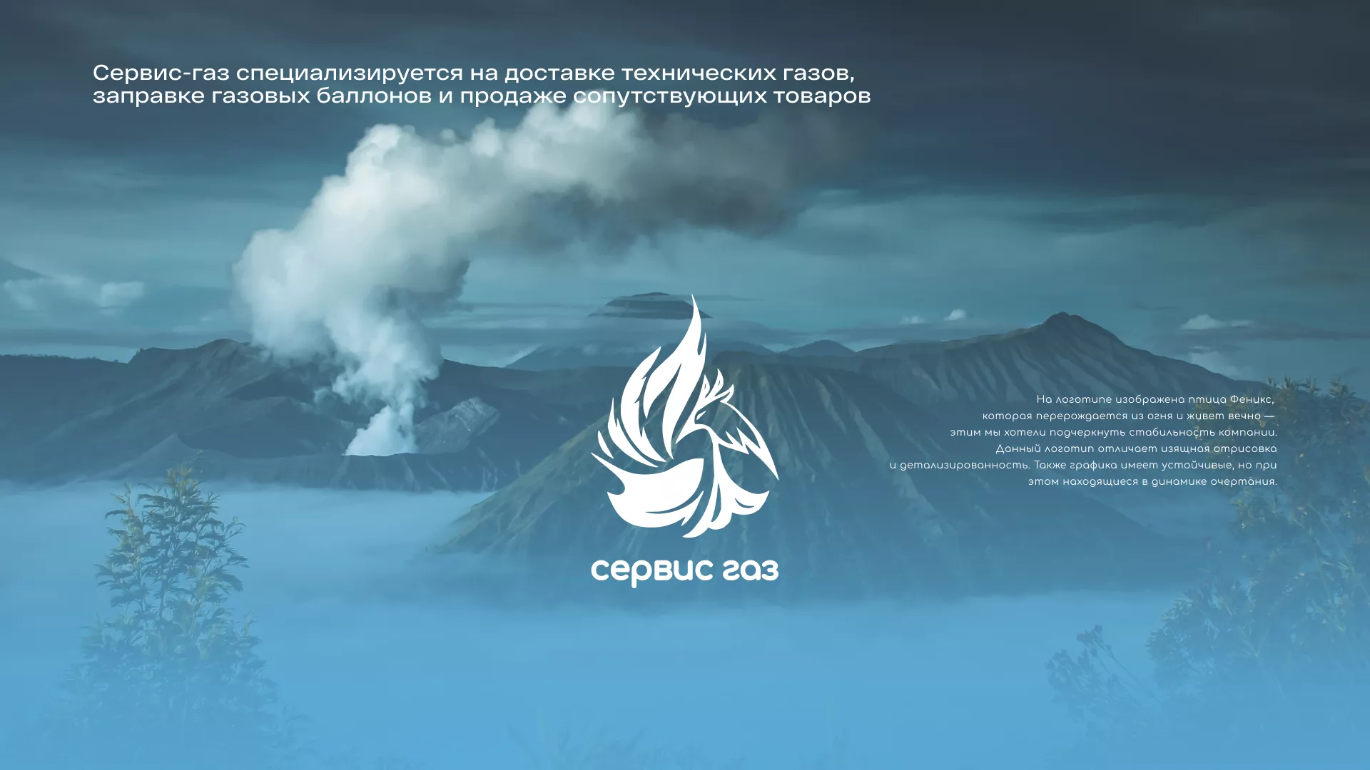 Создание сайта компании «Сервис газ» в Зеленогорске