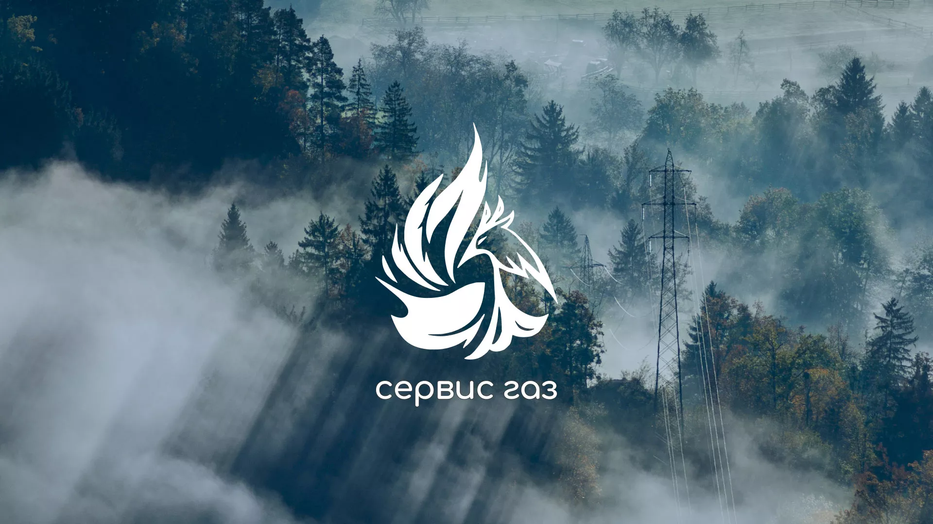 Создание сайта компании «Сервис газ» в Зеленогорске