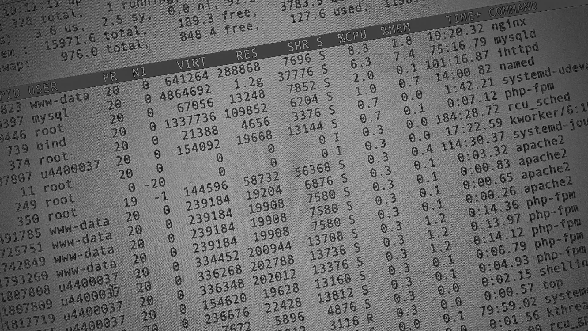 Настройка сервера в Зеленогорске