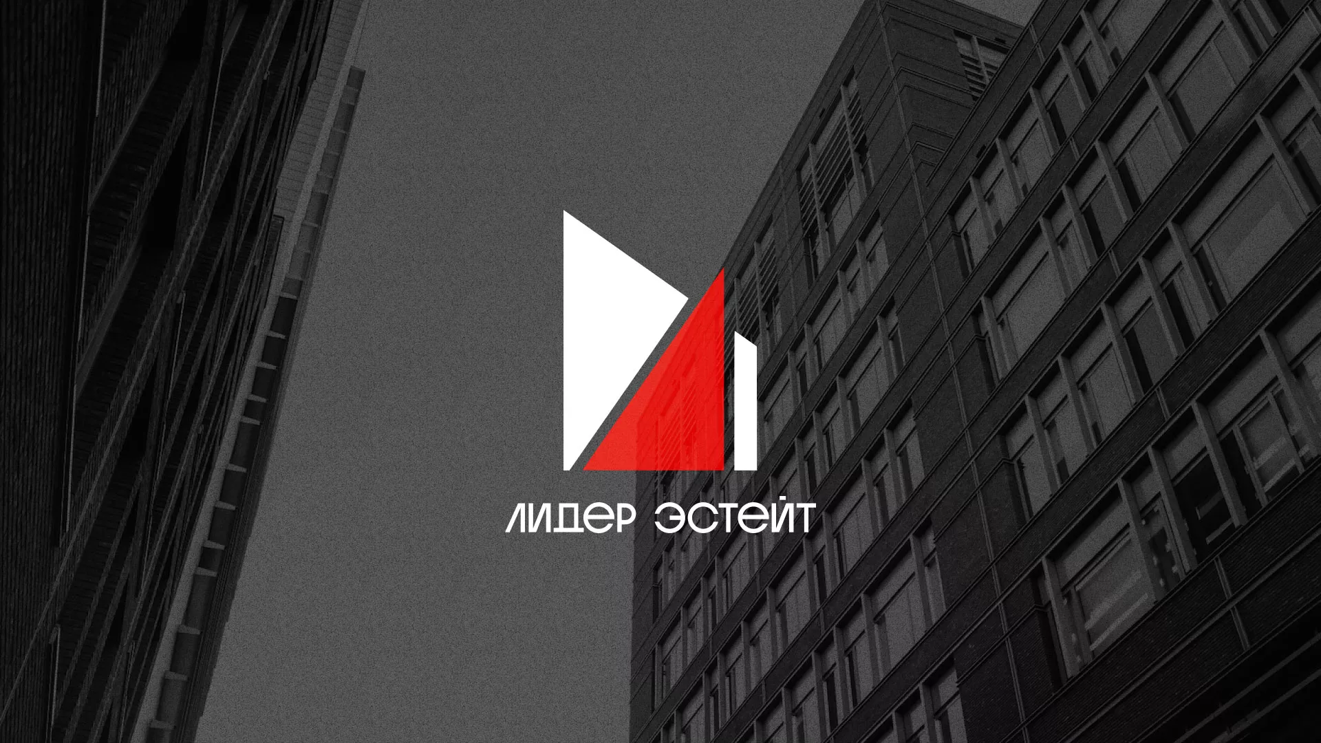 Сделали логотип для агентства недвижимости «Лидер Эстейт» в Зеленогорске